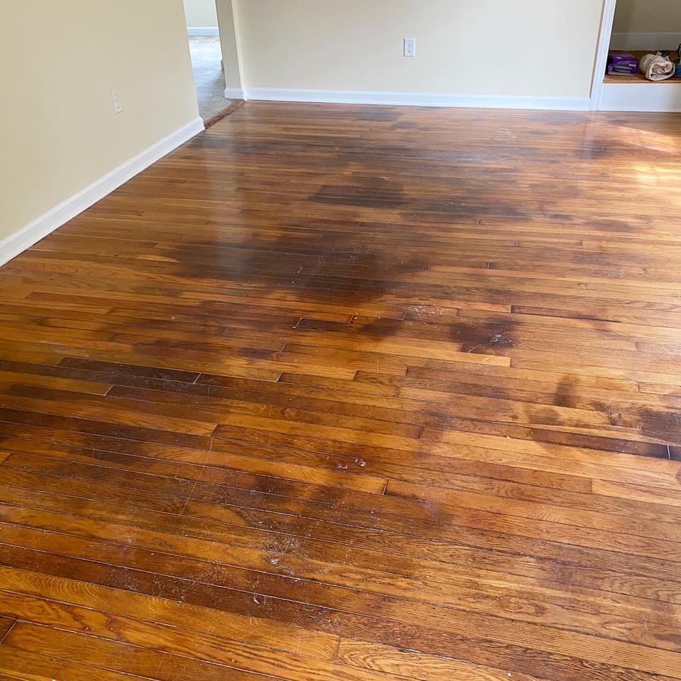 Refinish Hardwood Flooring with Pet Stains Daigle