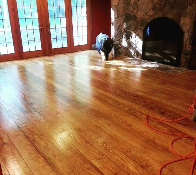 Wide Board White Oak Stained Early American Patrick Daigle